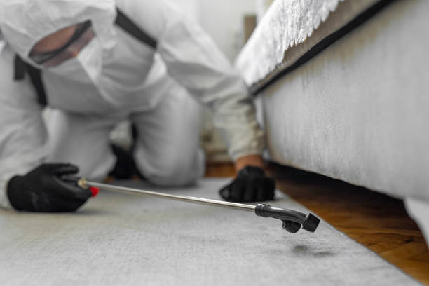 Professional Termite Control technician working in Waterville, MN